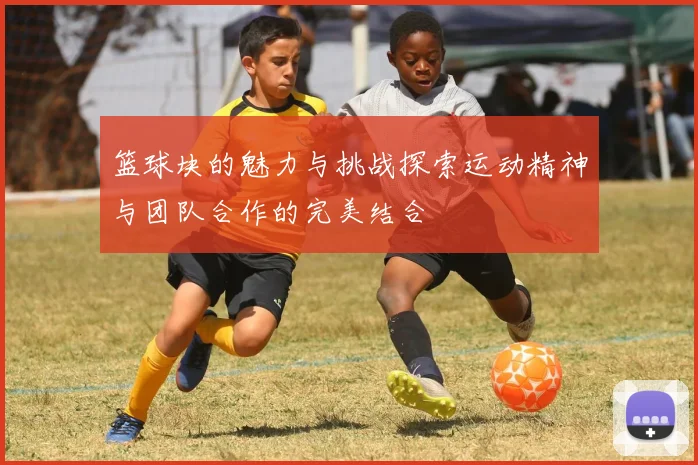 篮球块的魅力与挑战探索运动精神与团队合作的完美结合