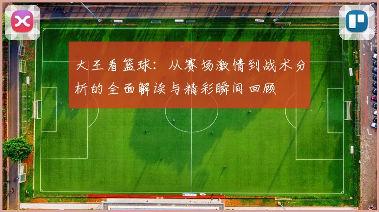大王看篮球：从赛场激情到战术分析的全面解读与精彩瞬间回顾