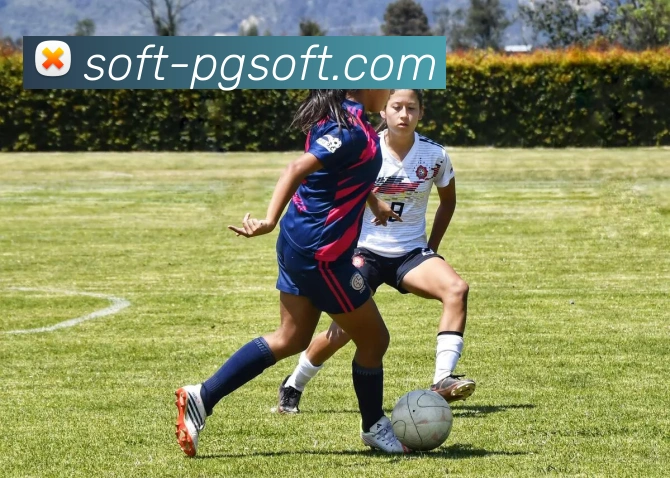 PG模拟器平台生态图